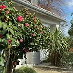 Villa Louis - Grand Piquey *