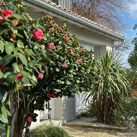 Villa Louis - Grand Piquey *
